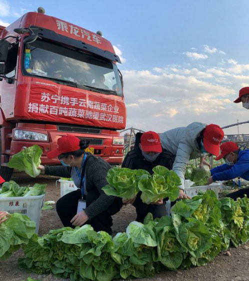 【0212-農(nong) 產(chan) 品上行】蘇寧物流打通綠色通道 助滯銷蘆蒿6小時從(cong) 田間到賣場力農(nong) 產(chan) 品上行768.png